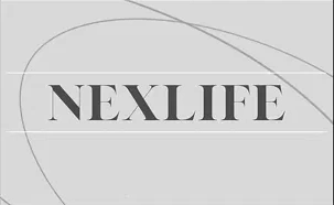 NEXLIFE GROUP division visual identity